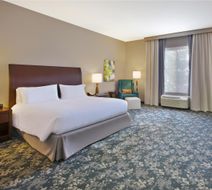 Hilton Garden Inn Detroit/Novi Room
