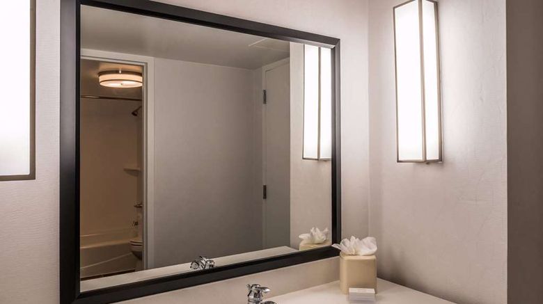 <b>Hilton Garden Inn Detroit - Southfield Room</b>. Images powered by <a href="https://iceportal.shijigroup.com/" title="IcePortal" target="_blank">IcePortal</a>.