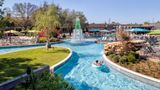 Hilton Anatole Pool
