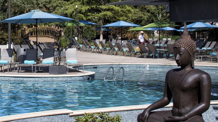 Hilton Anatole Pool