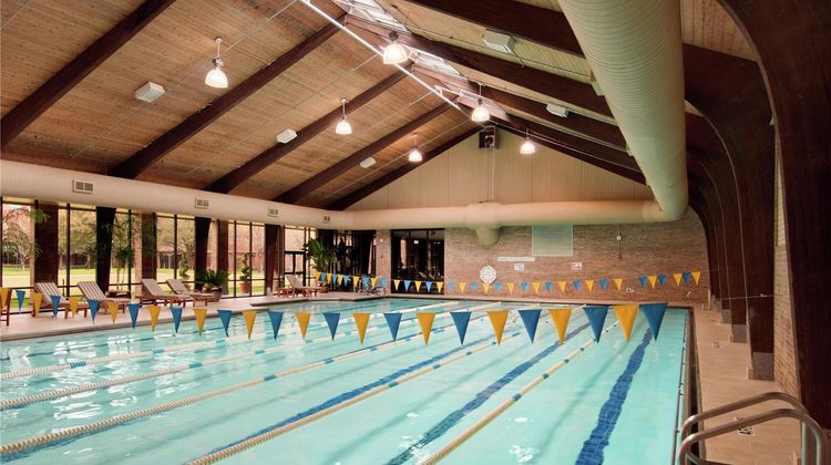 Hilton Anatole Pool