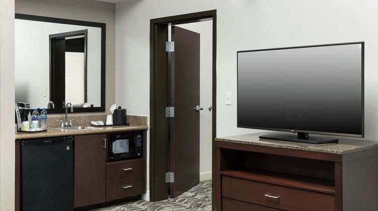 Hilton Garden Inn DFW North Grapevine Other
