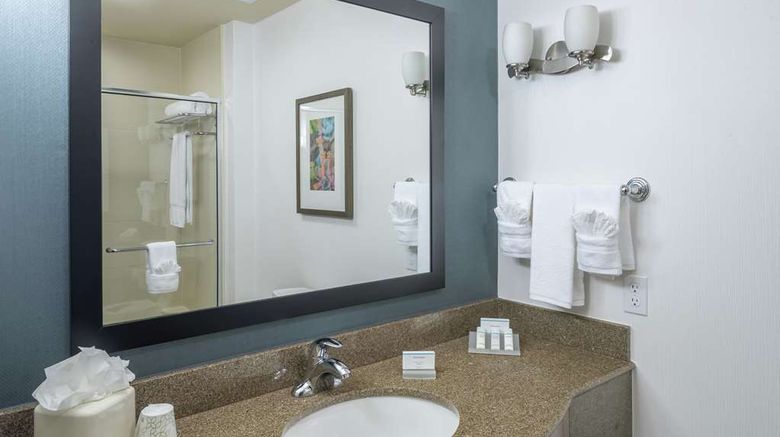 <b>Hilton Garden Inn DFW North Grapevine Room</b>. Images powered by <a href="https://iceportal.shijigroup.com/" title="IcePortal" target="_blank">IcePortal</a>.