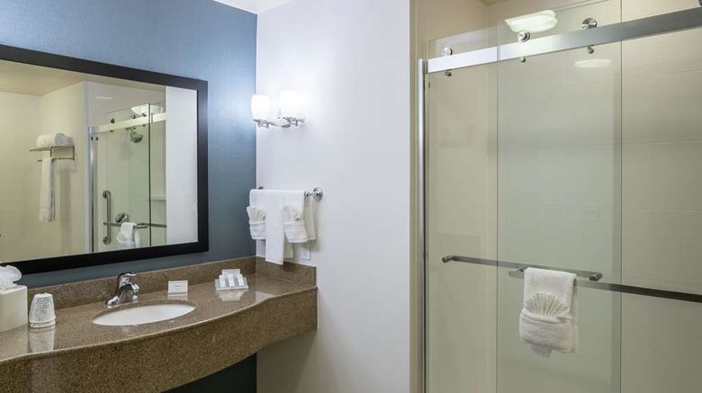 <b>Hilton Garden Inn DFW North Grapevine Room</b>. Images powered by <a href="https://iceportal.shijigroup.com/" title="IcePortal" target="_blank">IcePortal</a>.