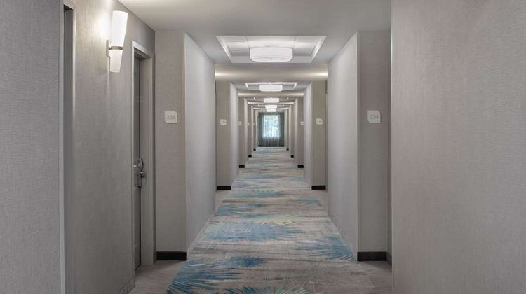 Hilton Garden Inn DFW Airport South Other