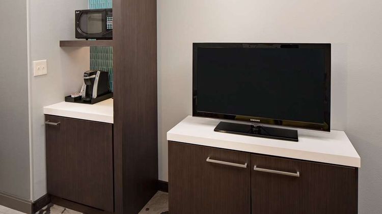 Hilton Garden Inn DFW Airport South Other