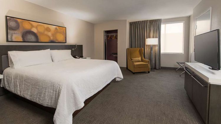 Hilton Garden Inn Las Colinas Other