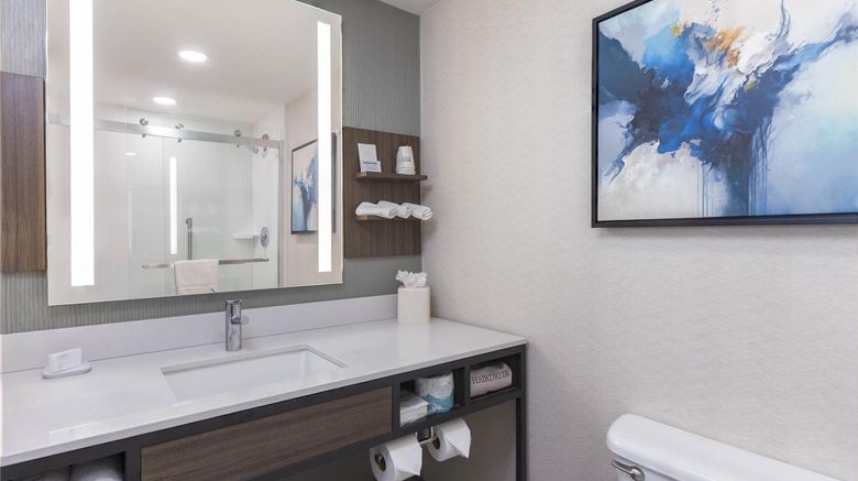 <b>Hilton Garden Inn Urbandale Room</b>. Images powered by <a href="https://iceportal.shijigroup.com/" title="IcePortal" target="_blank">IcePortal</a>.