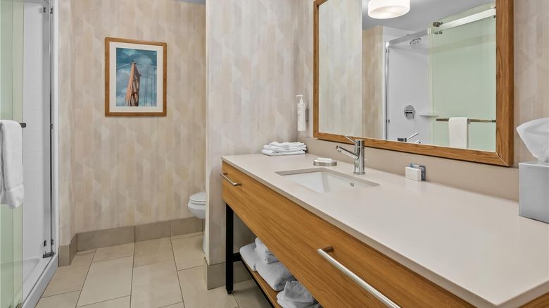 <b>Hampton Inn & Suites Detroit/Canton Room</b>. Images powered by <a href="https://iceportal.shijigroup.com/" title="IcePortal" target="_blank">IcePortal</a>.