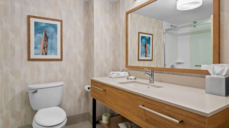 <b>Hampton Inn & Suites Detroit/Canton Room</b>. Images powered by <a href="https://iceportal.shijigroup.com/" title="IcePortal" target="_blank">IcePortal</a>.