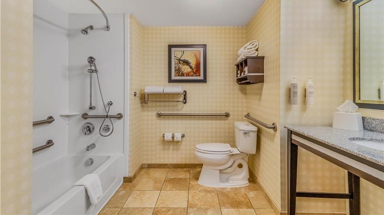 <b>Hampton Inn & Suites Detroit-Airport/Rom Room</b>. Images powered by <a href="https://iceportal.shijigroup.com/" title="IcePortal" target="_blank">IcePortal</a>.