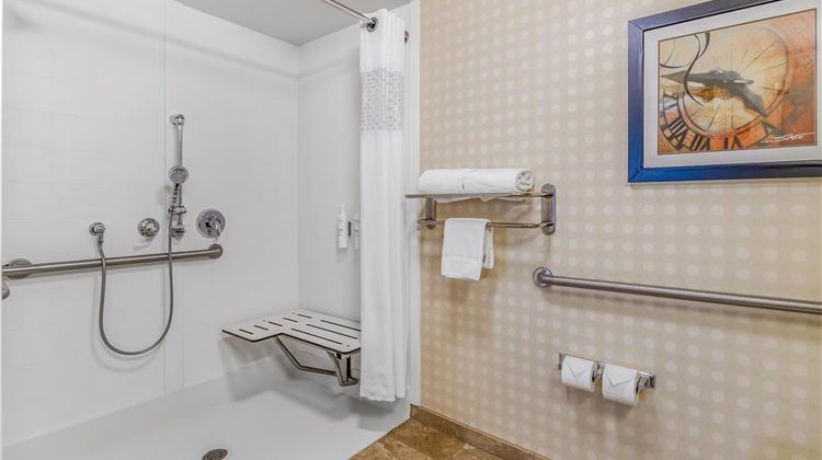 Hampton Inn & Suites Detroit-Airport/Rom Room