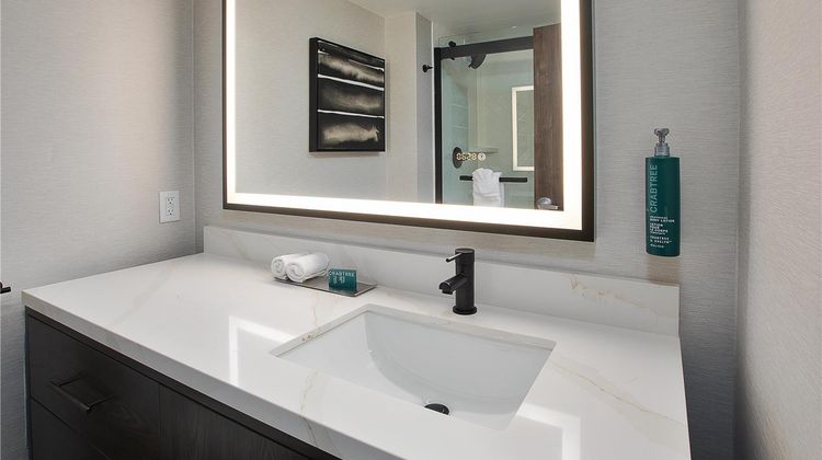 DoubleTree by Hilton Detroit Novi Room