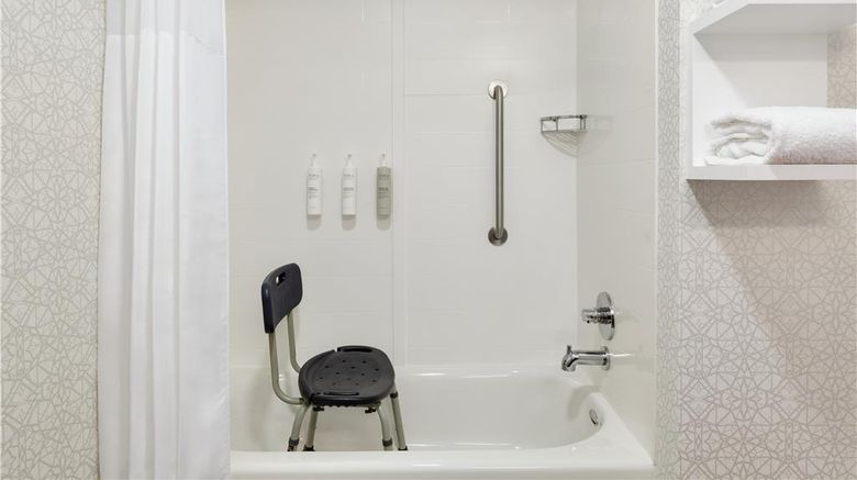 <b>Hampton Inn Room</b>. Images powered by <a href="https://iceportal.shijigroup.com/" title="IcePortal" target="_blank">IcePortal</a>.