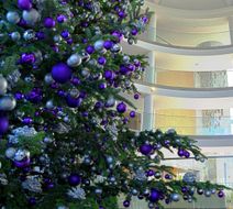 Conrad Algarve Lobby