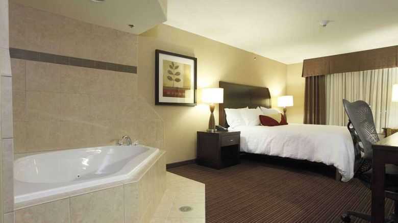 <b>Hilton Garden Inn Clovis Room</b>. Images powered by <a href="https://iceportal.shijigroup.com/" title="IcePortal" target="_blank">IcePortal</a>.