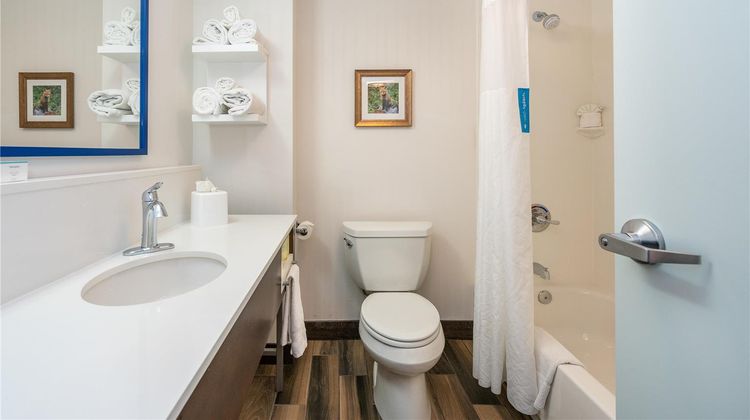 Hampton Inn & Suites Flagstaff Room