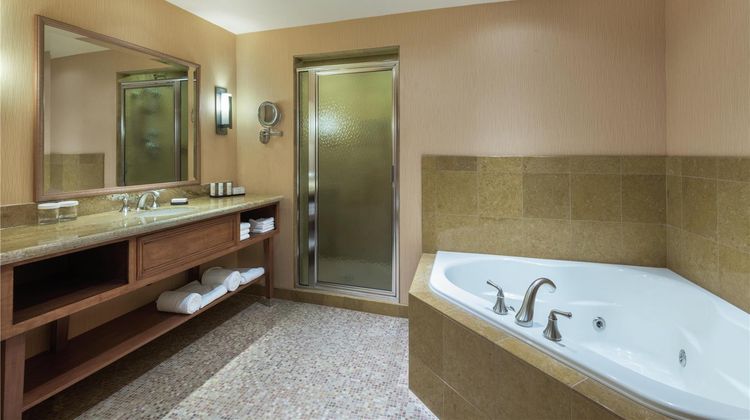 Embassy Suites Conference Center & Spa Room