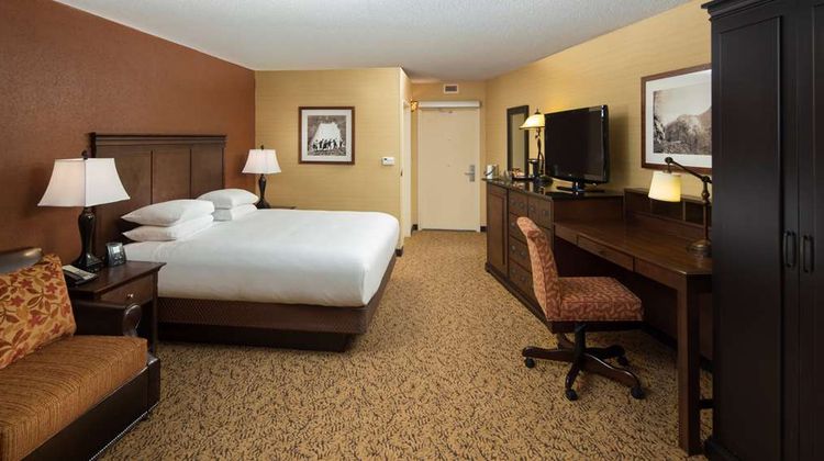Park Vista DoubleTree by Hilton Room