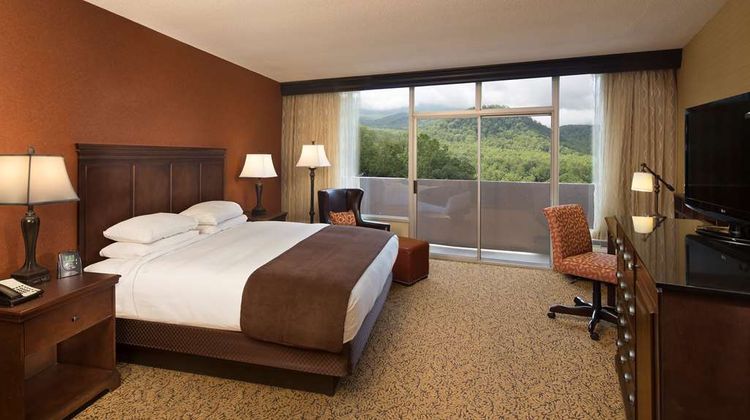 Park Vista DoubleTree by Hilton Room