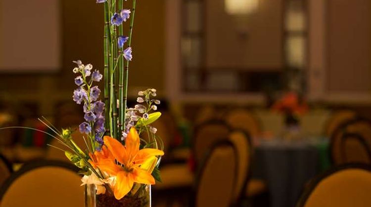 Park Vista DoubleTree by Hilton Meeting