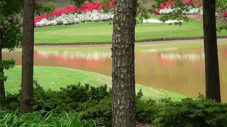 <b>Embassy Suites Greenville Golf Resort Golf</b>. Images powered by <a href="https://iceportal.shijigroup.com/" title="IcePortal" target="_blank">IcePortal</a>.