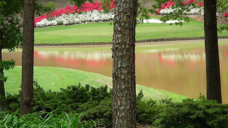 Embassy Suites Greenville Golf Resort Golf