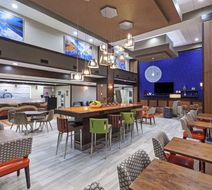 Hampton Inn & Suites-Bush Intercon Arpt Lobby