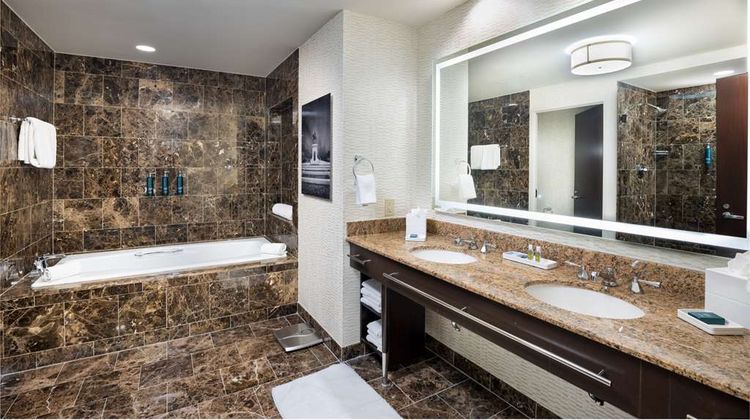 Hilton Americas Houston Other