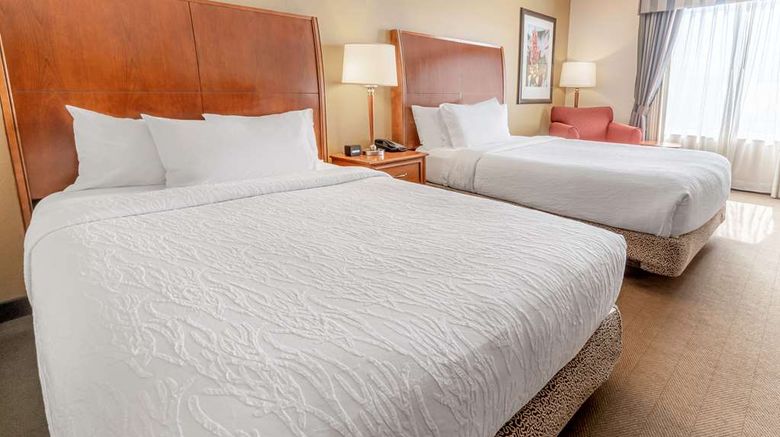 <b>Hilton Garden Inn Houston/The Woodlands Room</b>. Images powered by <a href="https://iceportal.shijigroup.com/" title="IcePortal" target="_blank">IcePortal</a>.