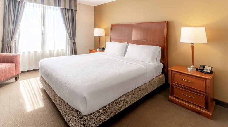 <b>Hilton Garden Inn Houston/The Woodlands Room</b>. Images powered by <a href="https://iceportal.shijigroup.com/" title="IcePortal" target="_blank">IcePortal</a>.