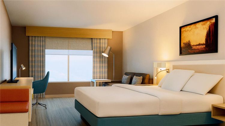 Hilton Garden Inn Houston/The Woodlands Room