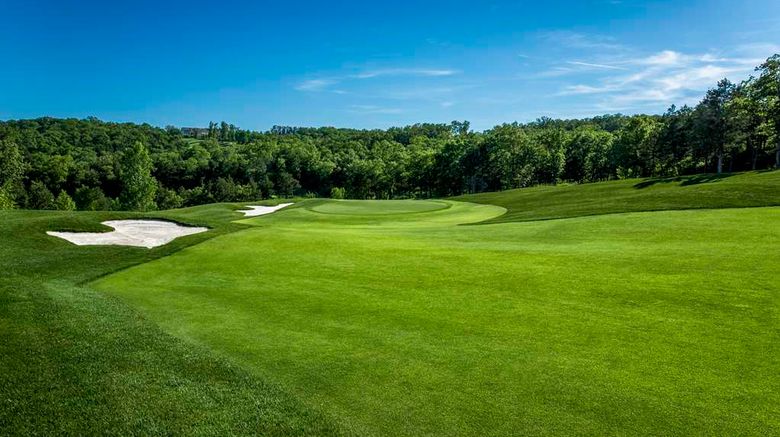 <b>Hilton Promenade at Branson Landing Golf</b>. Images powered by <a href="https://iceportal.shijigroup.com/" title="IcePortal" target="_blank">IcePortal</a>.
