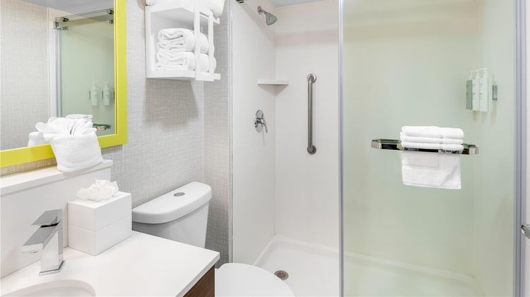 Hampton Inn Indianapolis-NE/Castleton Room
