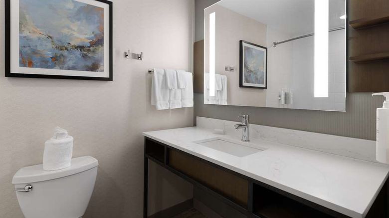 <b>Hilton Garden Inn Hanes Mall Room</b>. Images powered by <a href="https://iceportal.shijigroup.com/" title="IcePortal" target="_blank">IcePortal</a>.