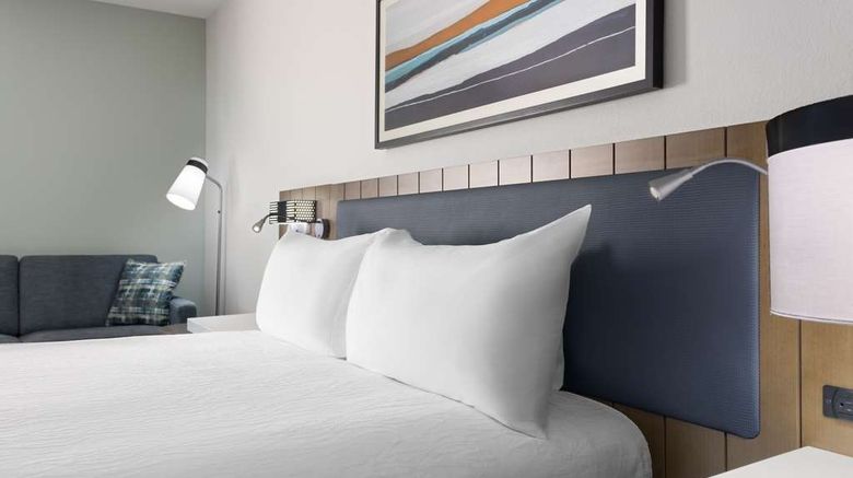 <b>Hilton Garden Inn Hanes Mall Room</b>. Images powered by <a href="https://iceportal.shijigroup.com/" title="IcePortal" target="_blank">IcePortal</a>.
