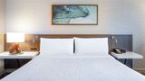 Hilton Garden Inn Islip/MacArthur Airpor Room