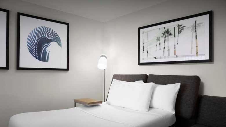 <b>Hilton Garden Inn JAX Downtown/Southbank Room</b>. Images powered by <a href="https://iceportal.shijigroup.com/" title="IcePortal" target="_blank">IcePortal</a>.