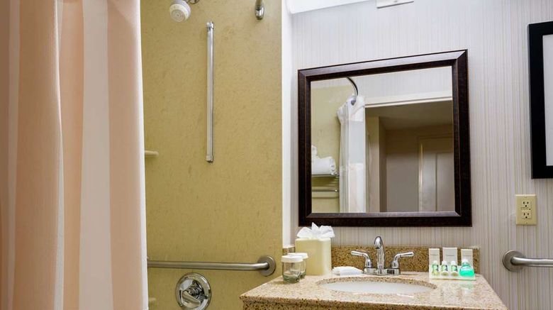 <b>Hilton Garden Inn Queens/JFK Arpt Room</b>. Images powered by <a href="https://iceportal.shijigroup.com/" title="IcePortal" target="_blank">IcePortal</a>.