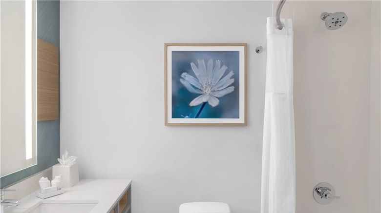 <b>Hilton Garden Inn Queens/JFK Arpt Room</b>. Images powered by <a href="https://iceportal.shijigroup.com/" title="IcePortal" target="_blank">IcePortal</a>.