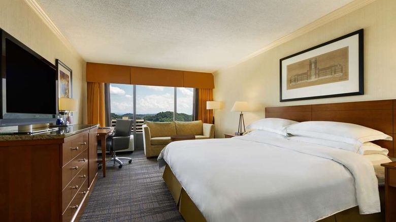 <b>Hilton Knoxville Room</b>. Images powered by <a href="https://iceportal.shijigroup.com/" title="IcePortal" target="_blank">IcePortal</a>.