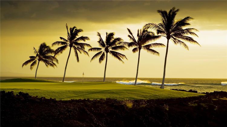 Hilton Waikoloa Village Golf