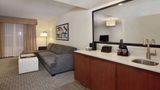 Embassy Suites Anaheim North Other