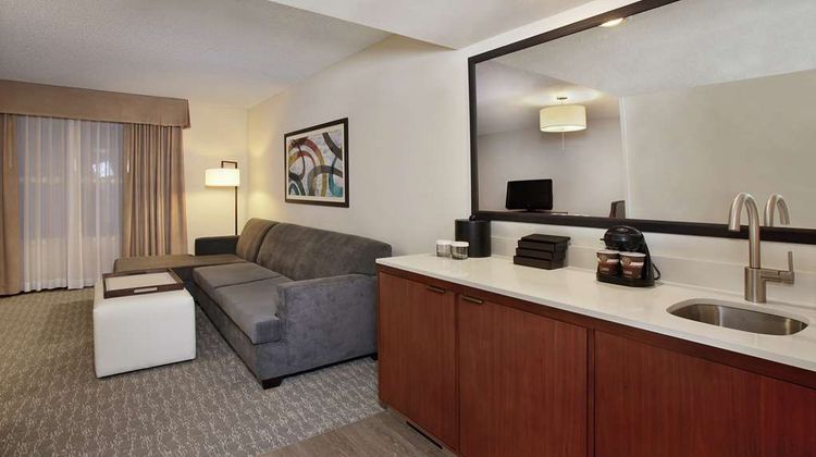 Embassy Suites Anaheim North Other