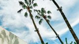<b>The Beverly Hilton Exterior</b>. Images powered by <a href="https://iceportal.shijigroup.com/" title="IcePortal" target="_blank">IcePortal</a>.