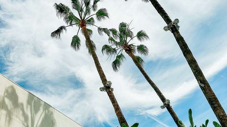 The Beverly Hilton Exterior