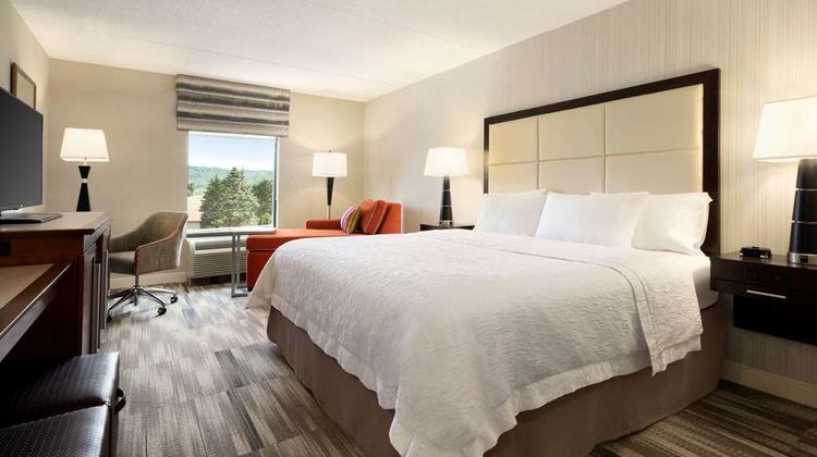 Hampton Inn Lehighton-Jim Thorpe Room