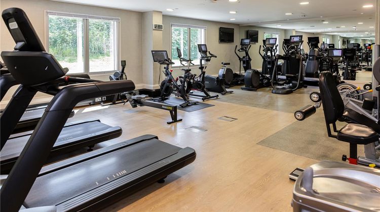 Hilton London Heathrow Airport Health