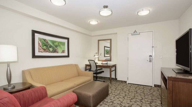 <b>Hilton Garden Inn Lincoln Dtwn/Haymarket Room</b>. Images powered by <a href="https://iceportal.shijigroup.com/" title="IcePortal" target="_blank">IcePortal</a>.