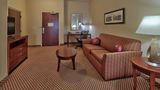 <b>Hilton Garden Inn Las Cruces Room</b>. Images powered by <a href="https://iceportal.shijigroup.com/" title="IcePortal" target="_blank">IcePortal</a>.